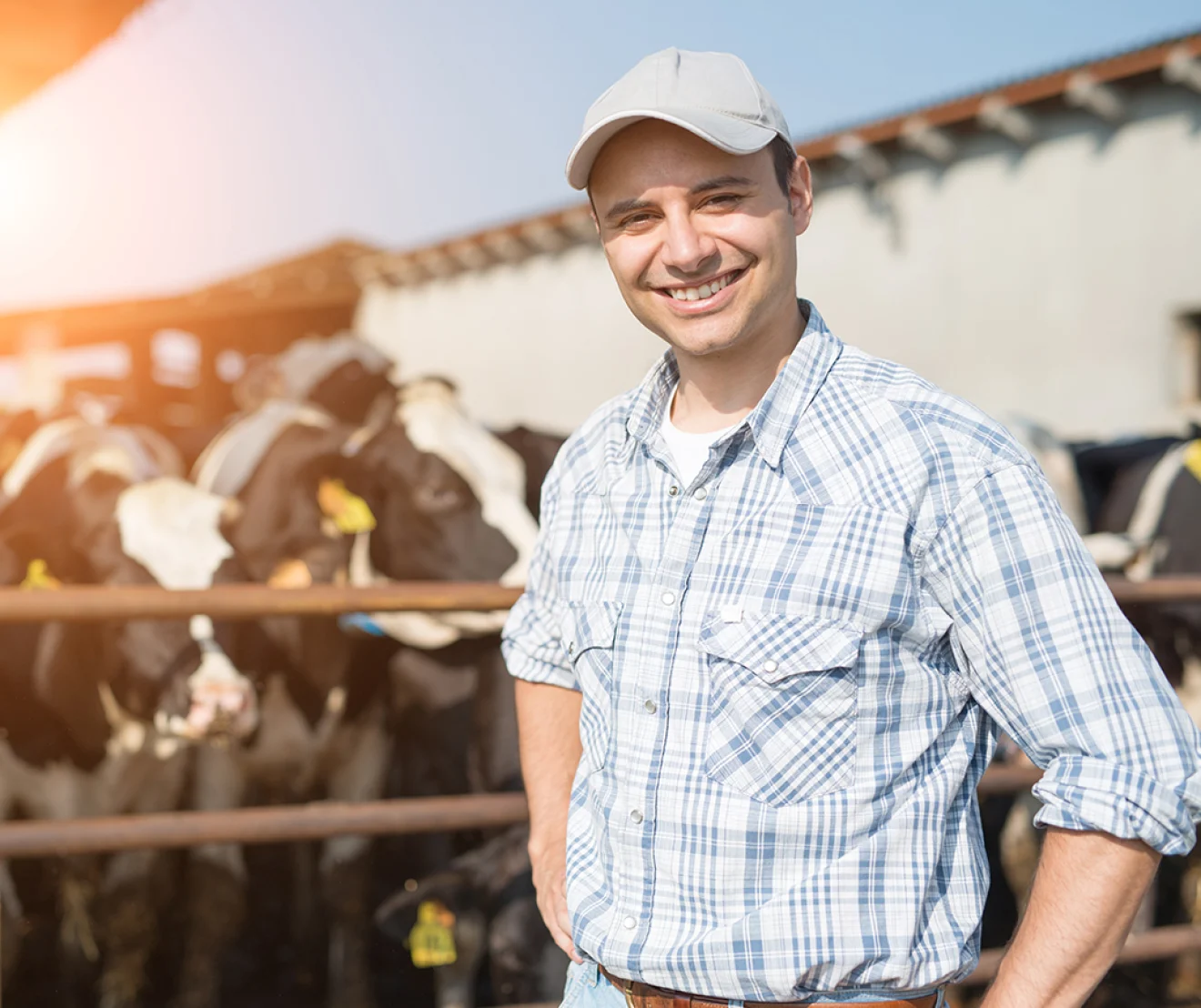 Business Plan Template for a Cattle Farm
