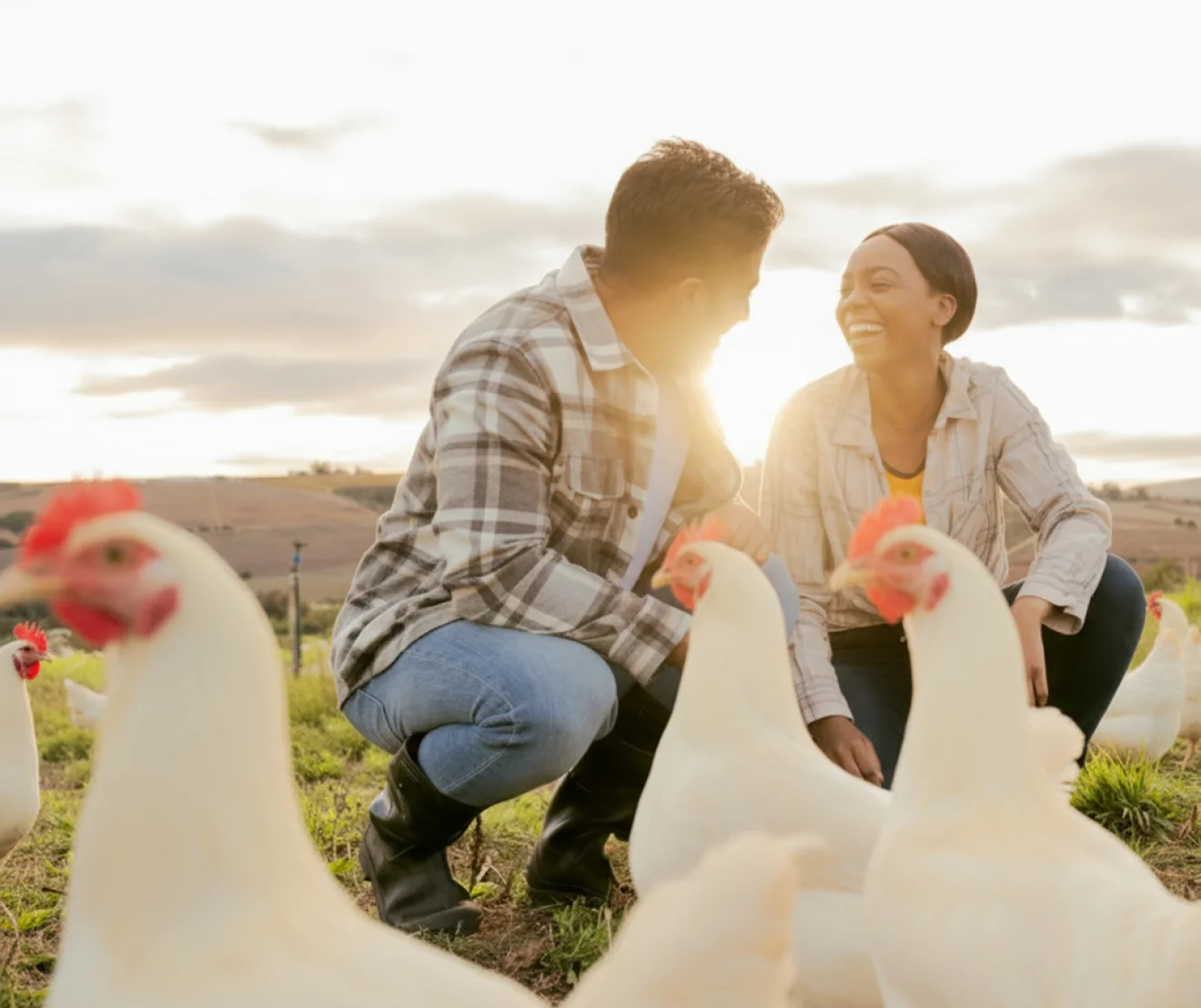 Poultry Farm Marketing Plan