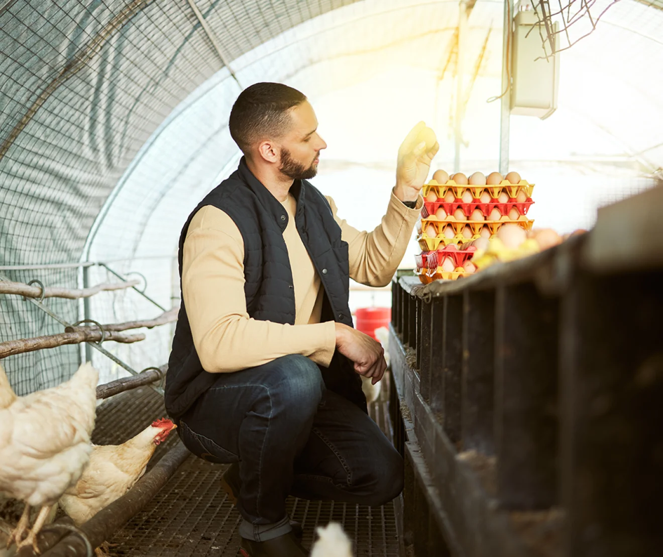 Poultry Farm Business Plan