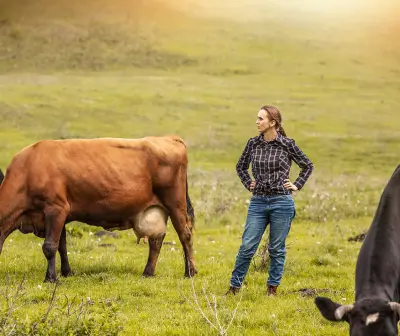 How to Start Dairy Farm Business