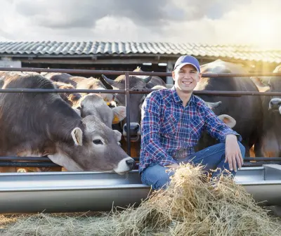 Dairy Farm Marketing Plan