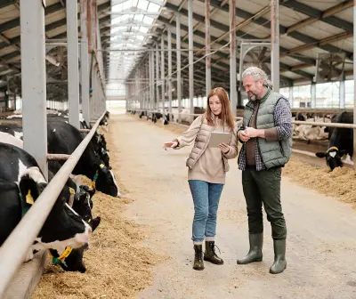 Dairy Farm Business Plan