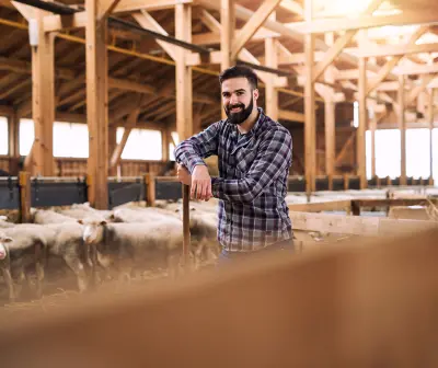 Sheep Farm Business Plan