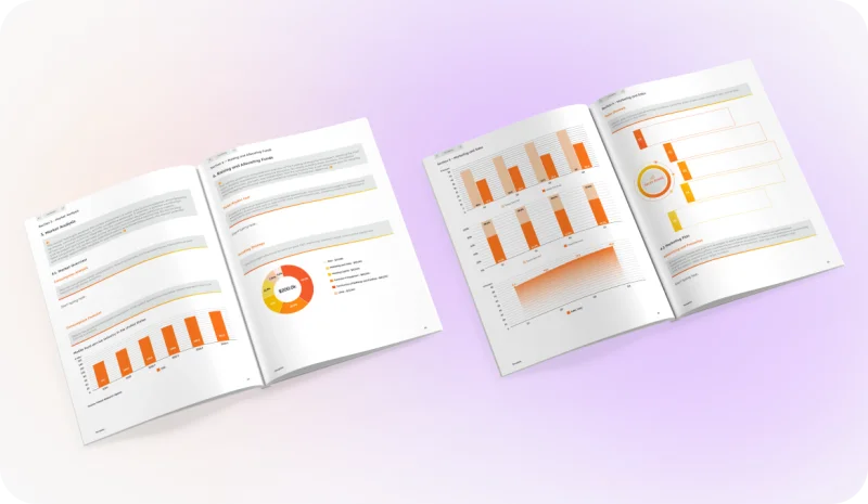 Ecommerce Business Plan